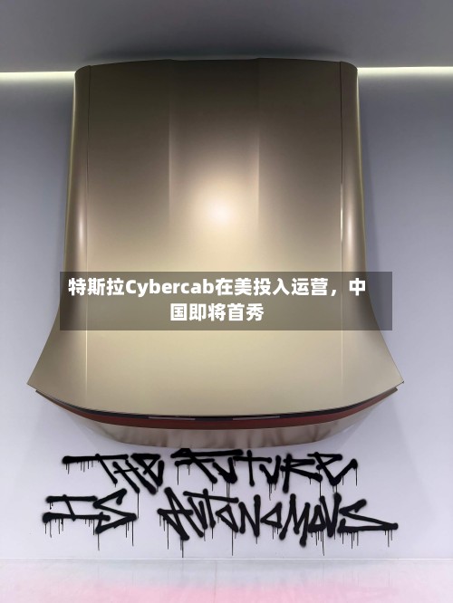特斯拉Cybercab在美投入运营，中国即将首秀-第2张图片