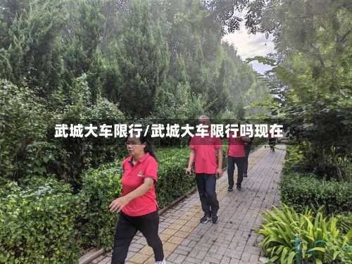 武城大车限行/武城大车限行吗现在-第3张图片