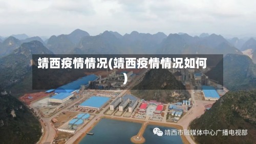靖西疫情情况(靖西疫情情况如何)-第3张图片