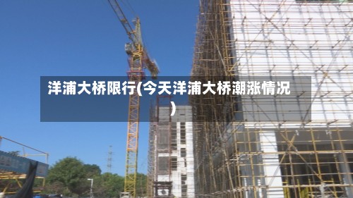洋浦大桥限行(今天洋浦大桥潮涨情况)-第2张图片