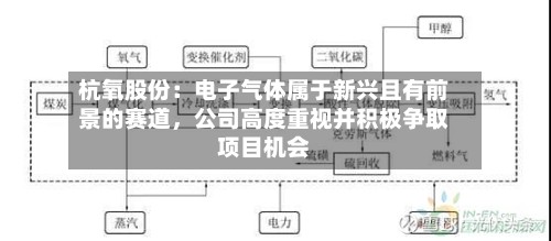 杭氧股份：电子气体属于新兴且有前景的赛道	，公司高度重视并积极争取项目机会-第2张图片