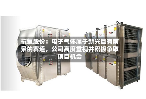杭氧股份：电子气体属于新兴且有前景的赛道，公司高度重视并积极争取项目机会-第3张图片