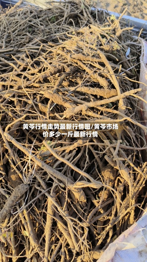 黄芩行情走势最新行情图/黄芩市场价多少一斤最新行情