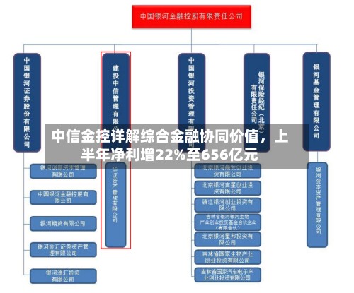 中信金控详解综合金融协同价值	，上半年净利增22%至656亿元-第2张图片