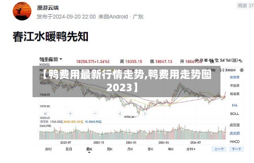 【鸭费用最新行情走势,鸭费用走势图2023】-第2张图片