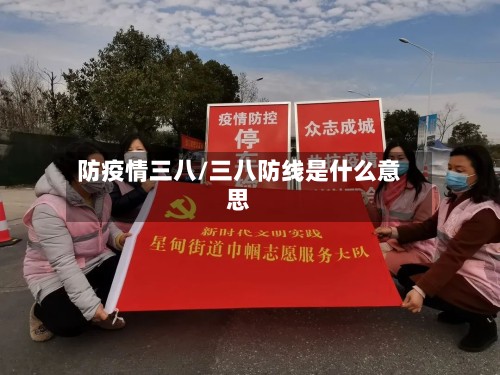 防疫情三八/三八防线是什么意思