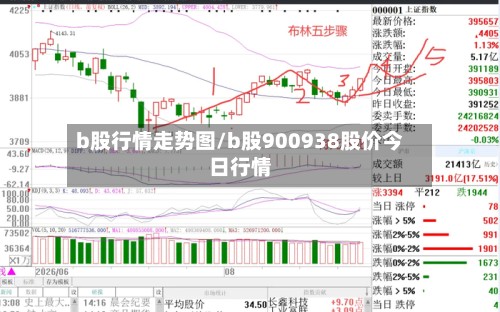 b股行情走势图/b股900938股价今日行情-第2张图片