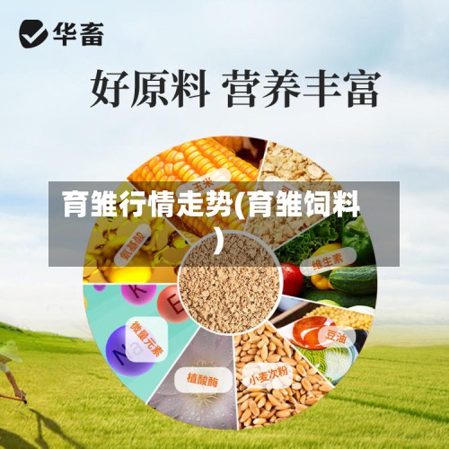 育雏行情走势(育雏饲料)