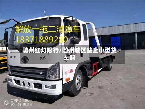 随州红灯限行/随州城区禁止小型货车吗-第2张图片