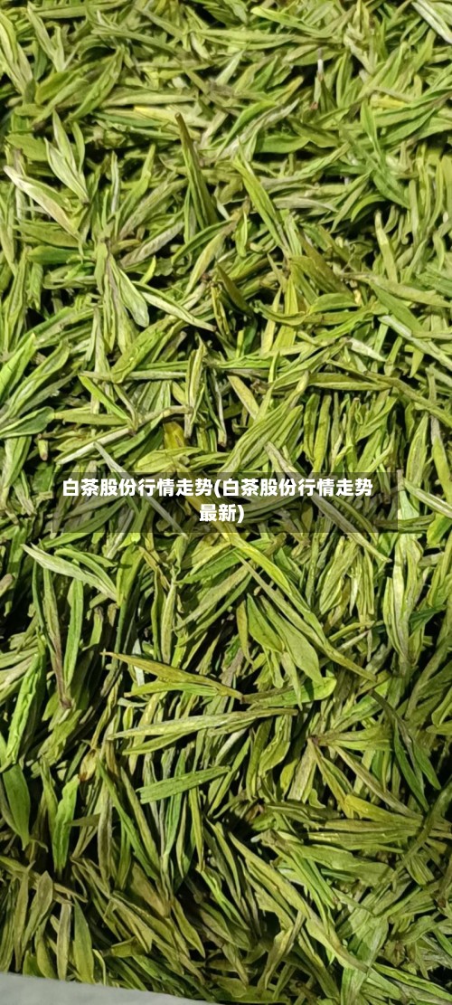 白茶股份行情走势(白茶股份行情走势最新)-第2张图片