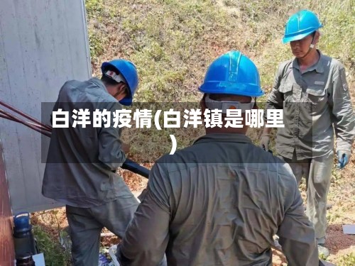 白洋的疫情(白洋镇是哪里)-第2张图片