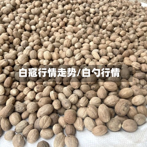 白寇行情走势/白勺行情