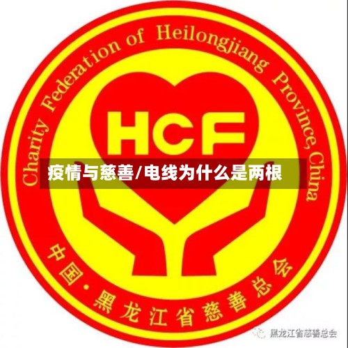 疫情与慈善/电线为什么是两根
