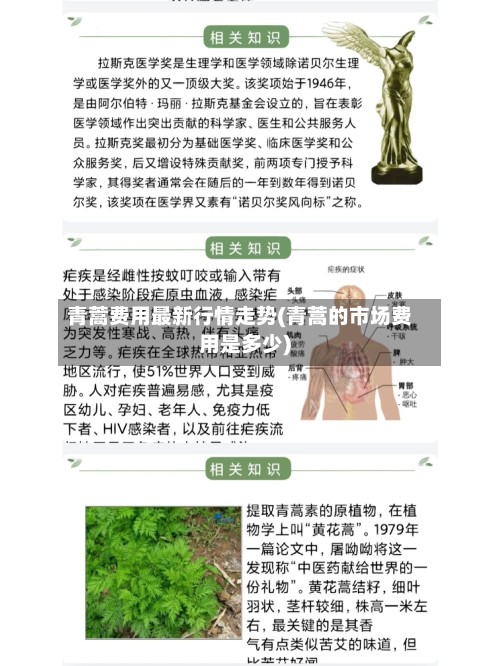 青蒿费用最新行情走势(青蒿的市场费用是多少)