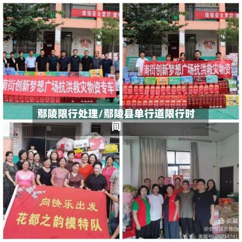 鄢陵限行处理/鄢陵县单行道限行时间
