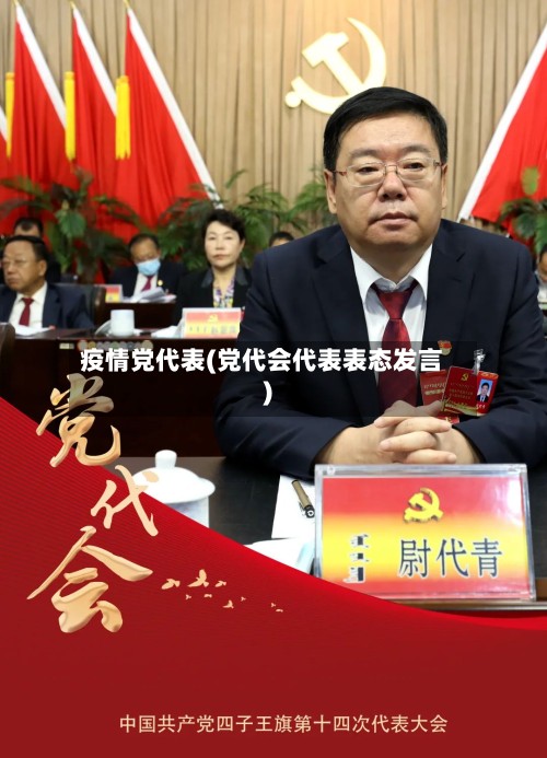 疫情党代表(党代会代表表态发言)-第3张图片