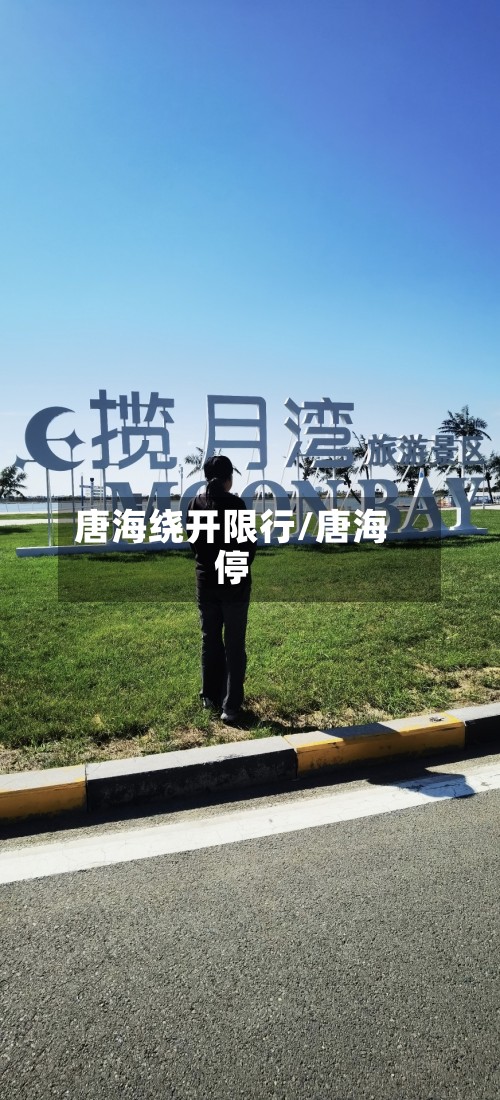 唐海绕开限行/唐海停-第2张图片