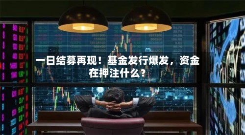 一日结募再现！基金发行爆发	，资金在押注什么？-第2张图片