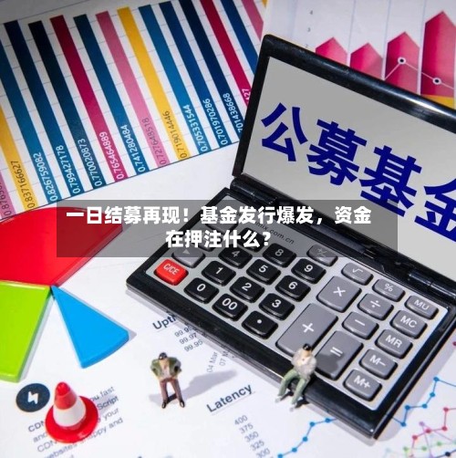 一日结募再现！基金发行爆发，资金在押注什么？