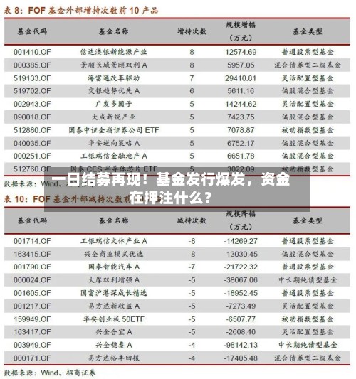 一日结募再现！基金发行爆发	，资金在押注什么？-第3张图片