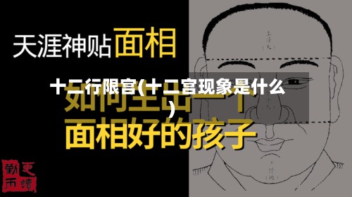 十二行限宫(十二宫现象是什么)