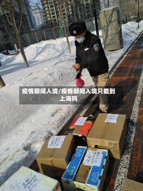 疫情期间入境/疫情期间入境只能到上海吗