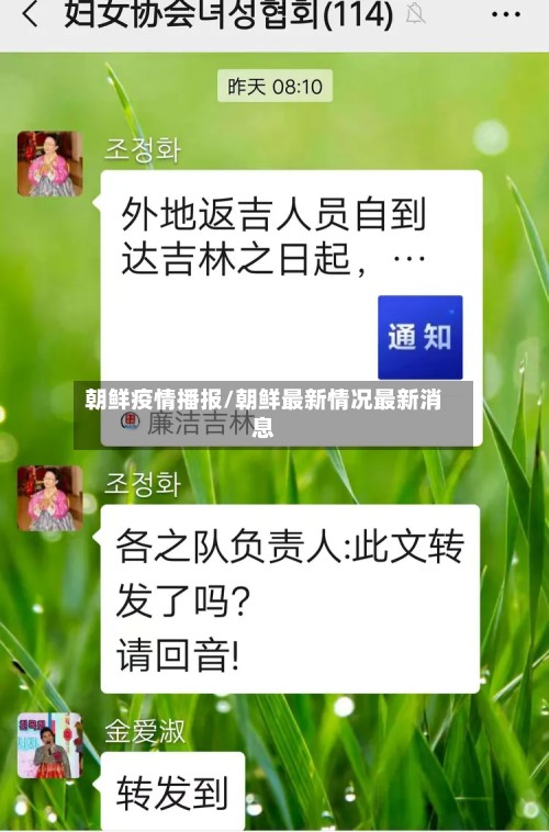 朝鲜疫情播报/朝鲜最新情况最新消息-第2张图片