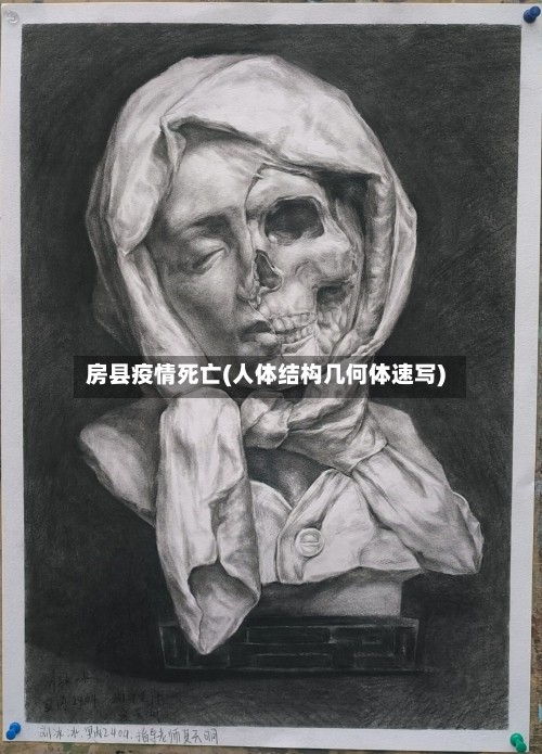 房县疫情死亡(人体结构几何体速写)