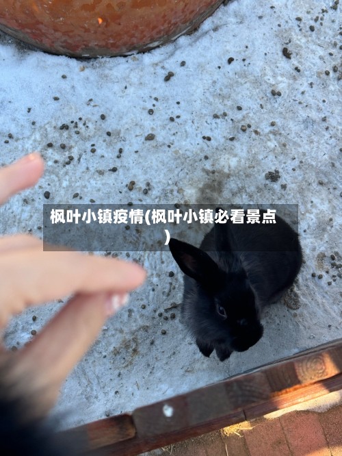 枫叶小镇疫情(枫叶小镇必看景点)