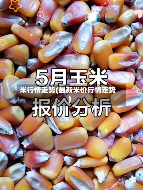 米行情走势(最新米价行情走势)-第2张图片