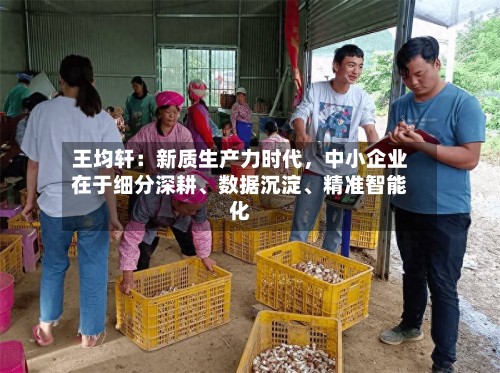 王均轩：新质生产力时代，中小企业在于细分深耕、数据沉淀、精准智能化-第2张图片