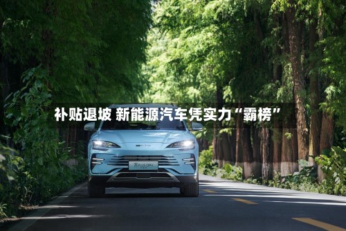 补贴退坡 新能源汽车凭实力“霸榜”-第3张图片