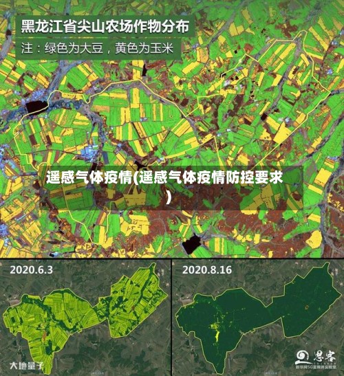 遥感气体疫情(遥感气体疫情防控要求)-第3张图片
