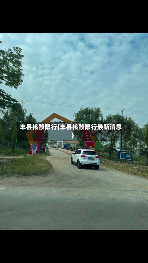 丰县核酸限行(丰县核酸限行最新消息)-第2张图片