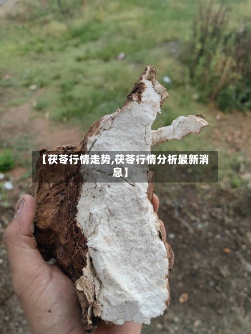【茯苓行情走势,茯苓行情分析最新消息】-第2张图片
