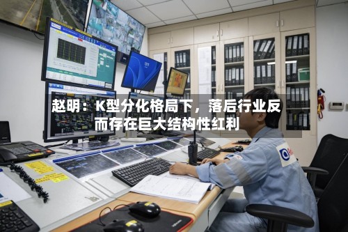 赵明：K型分化格局下	，落后行业反而存在巨大结构性红利-第3张图片