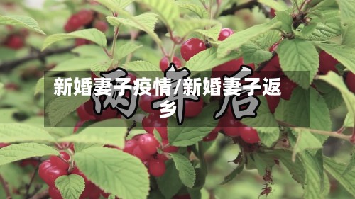 新婚妻子疫情/新婚妻子返乡